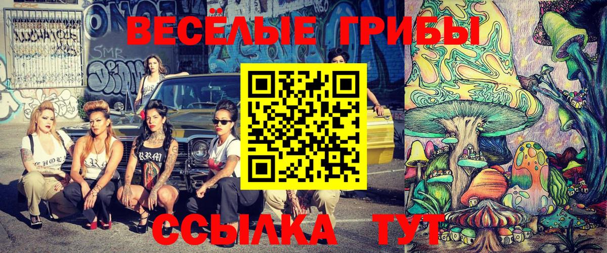 сколько стоит  Псилоцибиновые грибы Psilocybine cubensis  Ревда  Вход с VPN  Псилоцибиновые грибы мицелий 