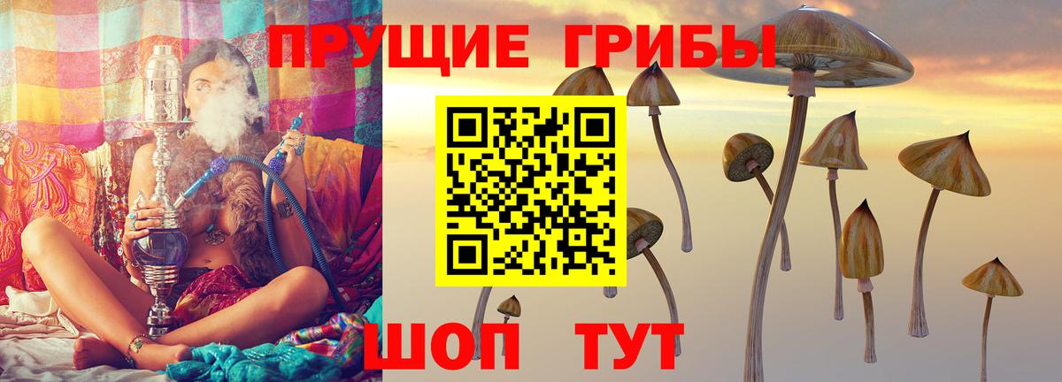 Галлюциногенные грибы Cubensis Ревда